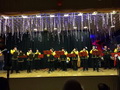 Karneval 2015  389